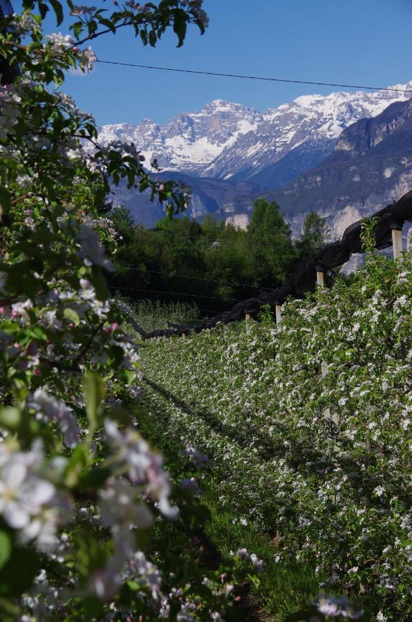 B&B Klammhof Panorama Salorno Dış mekan fotoğraf