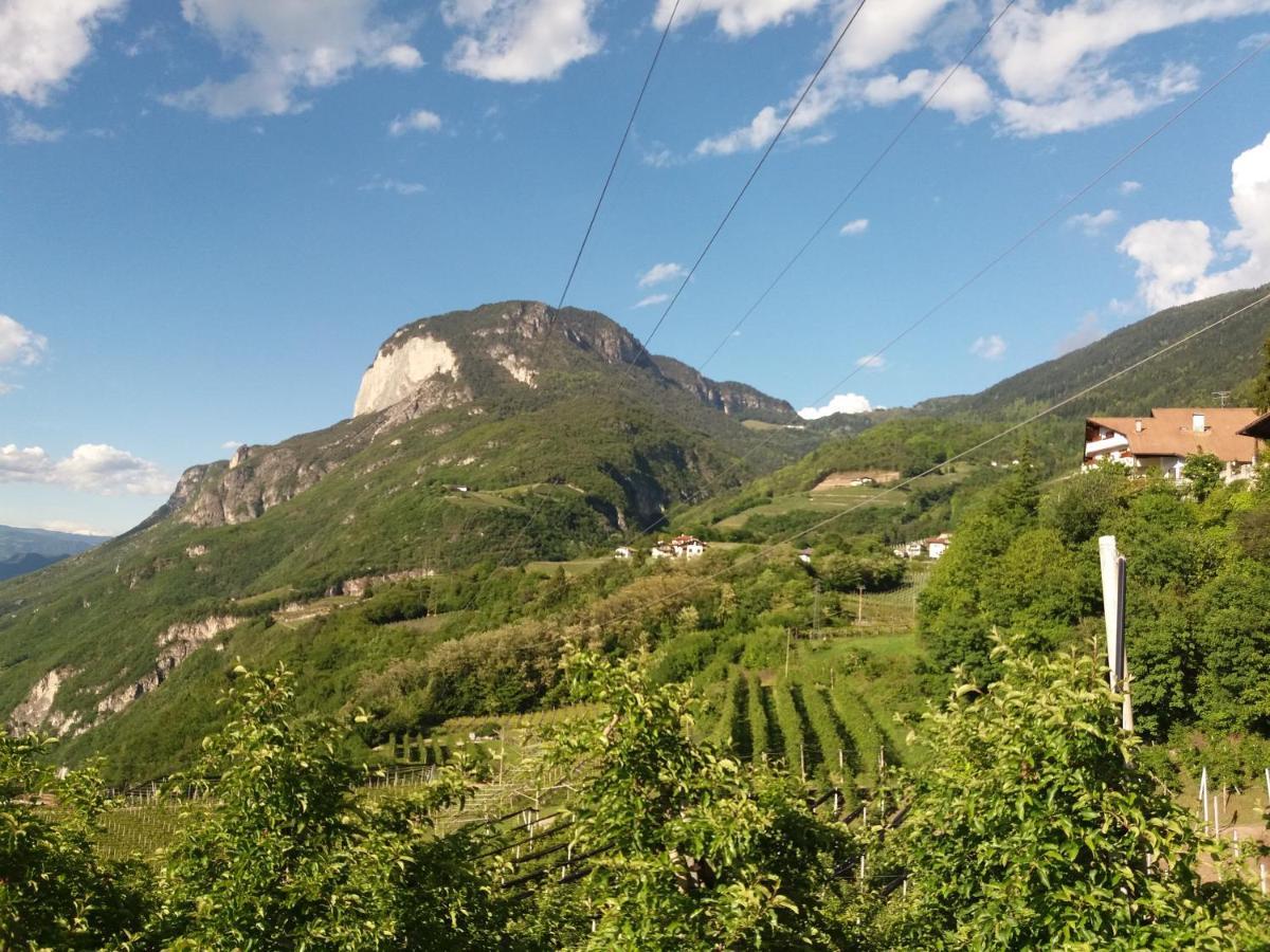 B&B Klammhof Panorama Salorno Dış mekan fotoğraf